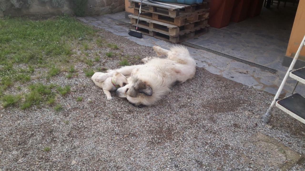 Artenatura Beb Terranuova Bracciolini Exterior foto